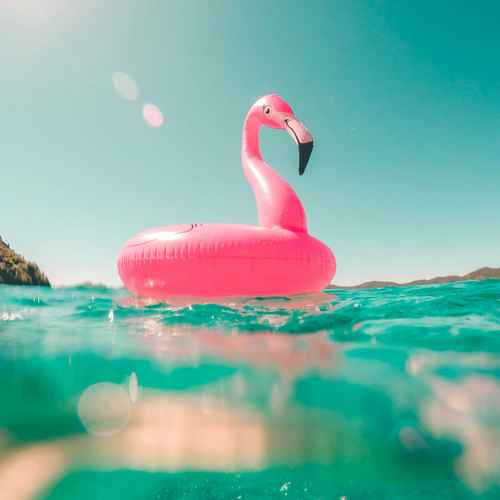 Ein Pelikanschwimmreif im Sommer